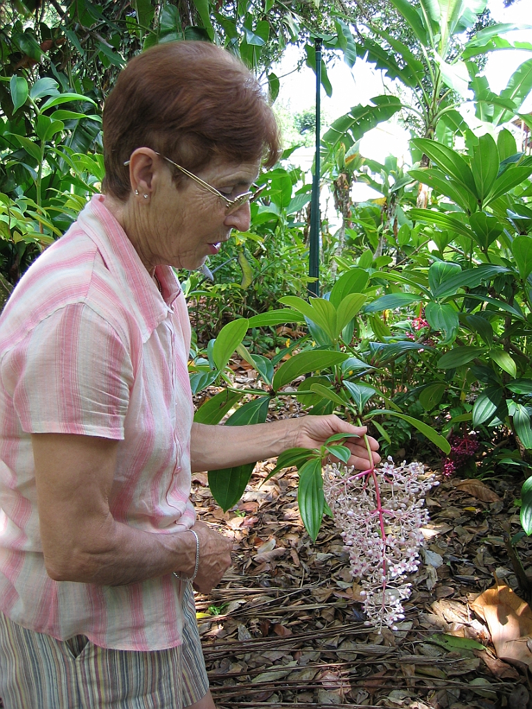 083 Cairns Botanic Gardens.jpg